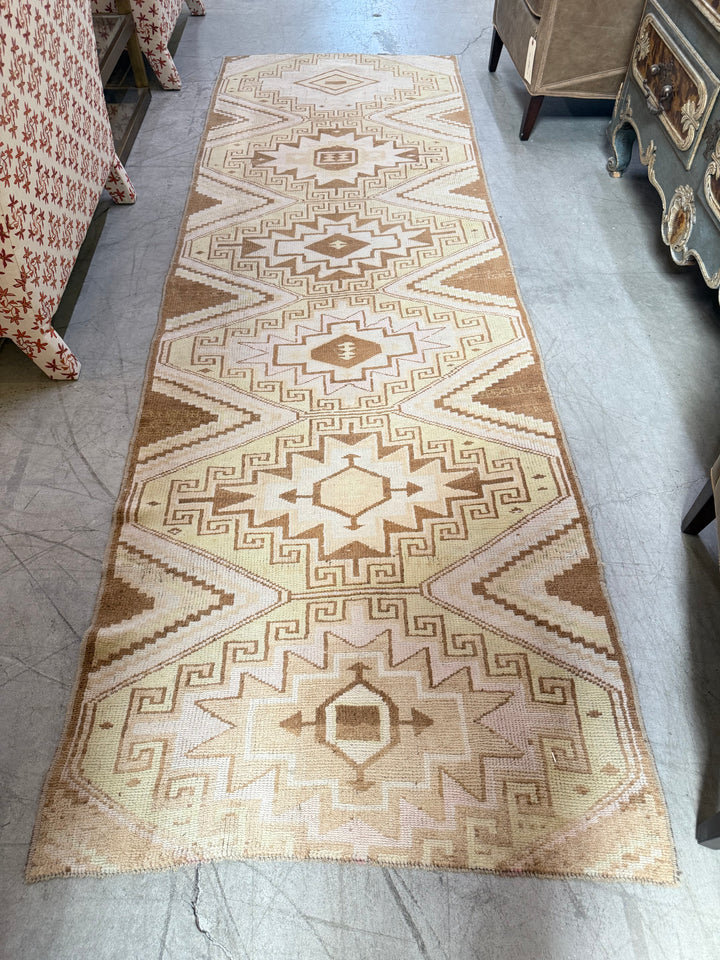 Anatolian Runner 3.1x9.7