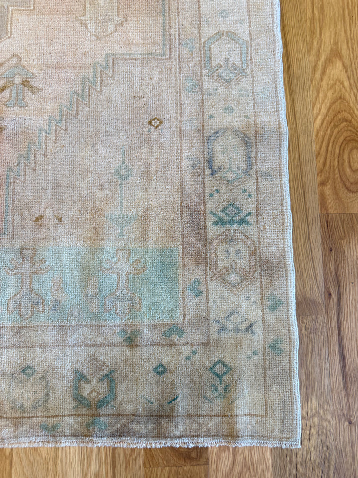 Anatolian Runner 3.5x7.3 - LillieKat Rugs