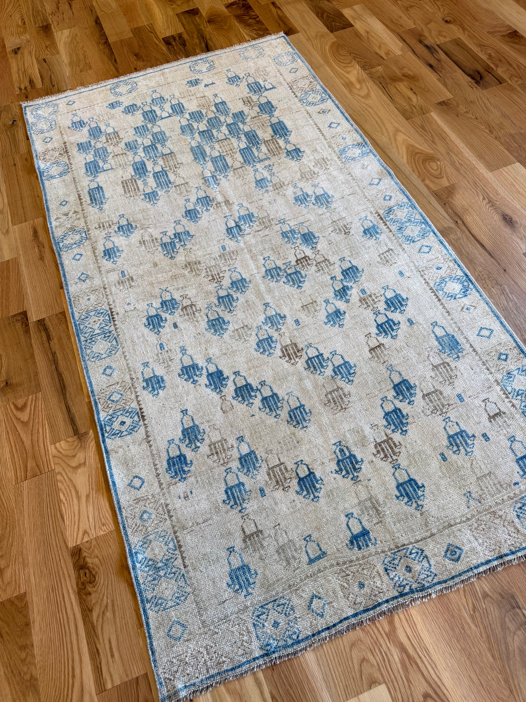 Anatolian 3.6x6.7