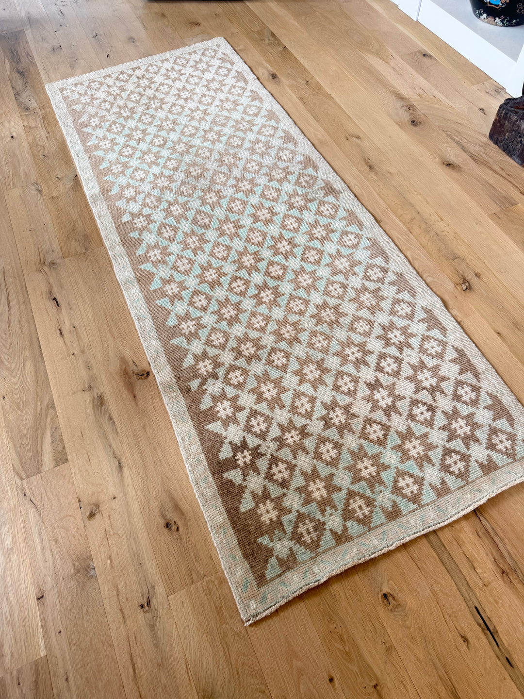 Anatolian Runner 2.8x7.1