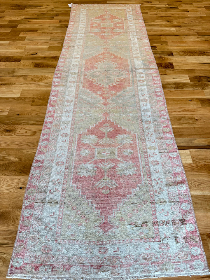 Anatolian Runner 3.2x10.2 - LillieKat Rugs