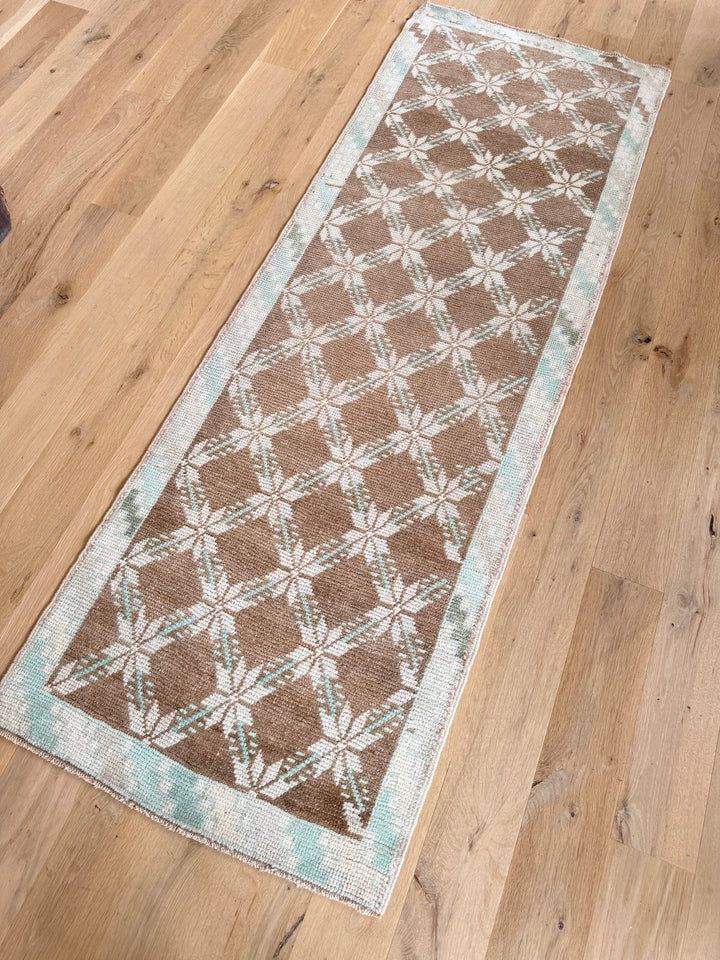 Anatolian Runner 2.4x6.8