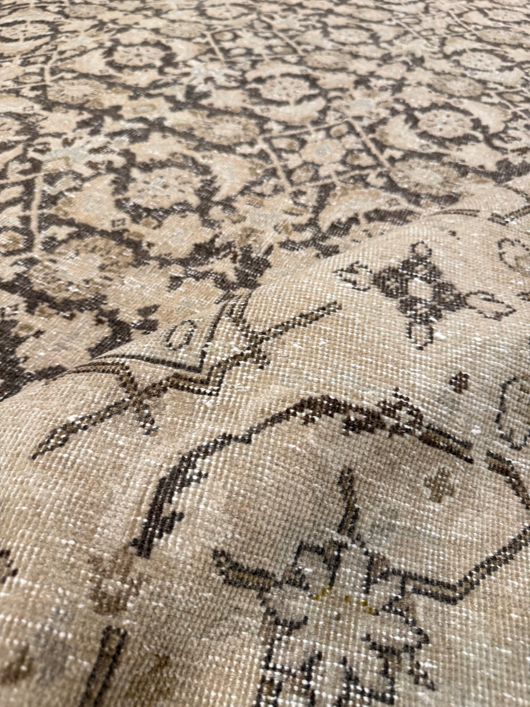 Malayer 10.3x13.5
