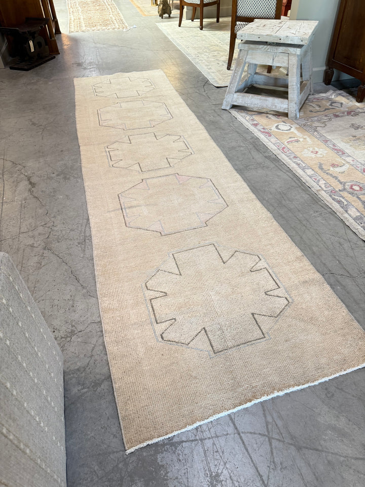 Anatolian Runner 3.2x11.11
