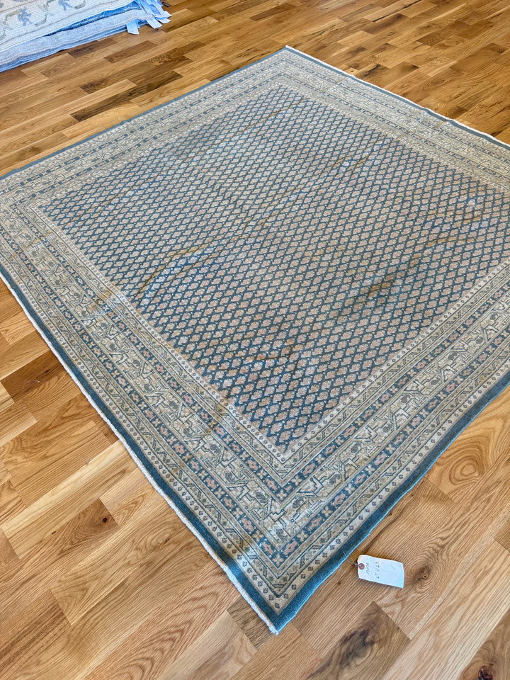 Mir (Persian) 6.5x6.7