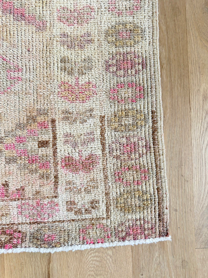 Anatolian Runner 2.8x14.2