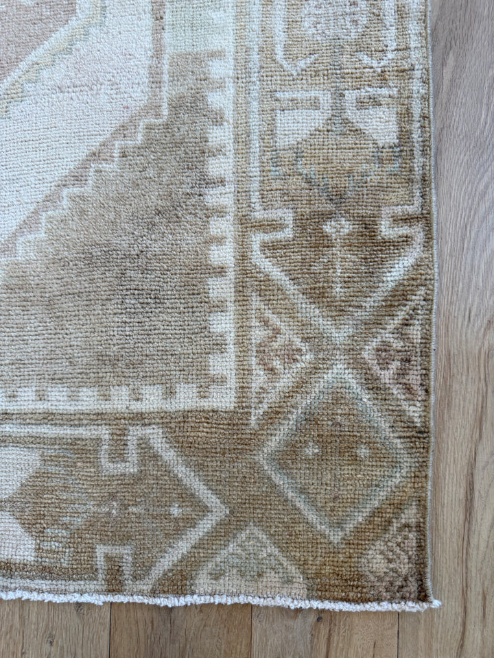 Anatolian Runner 3.5x10.5 - LillieKat Rugs