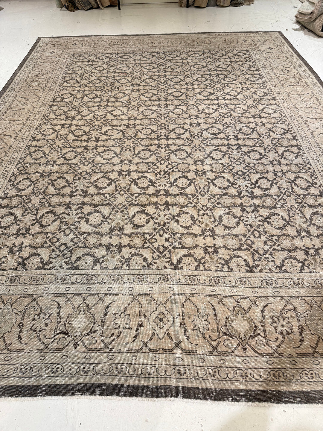 Malayer 10.3x13.5