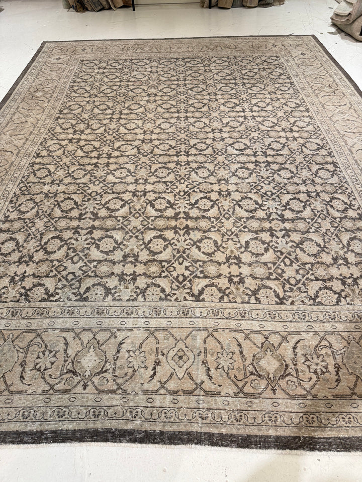 Malayer 10.3x13.5