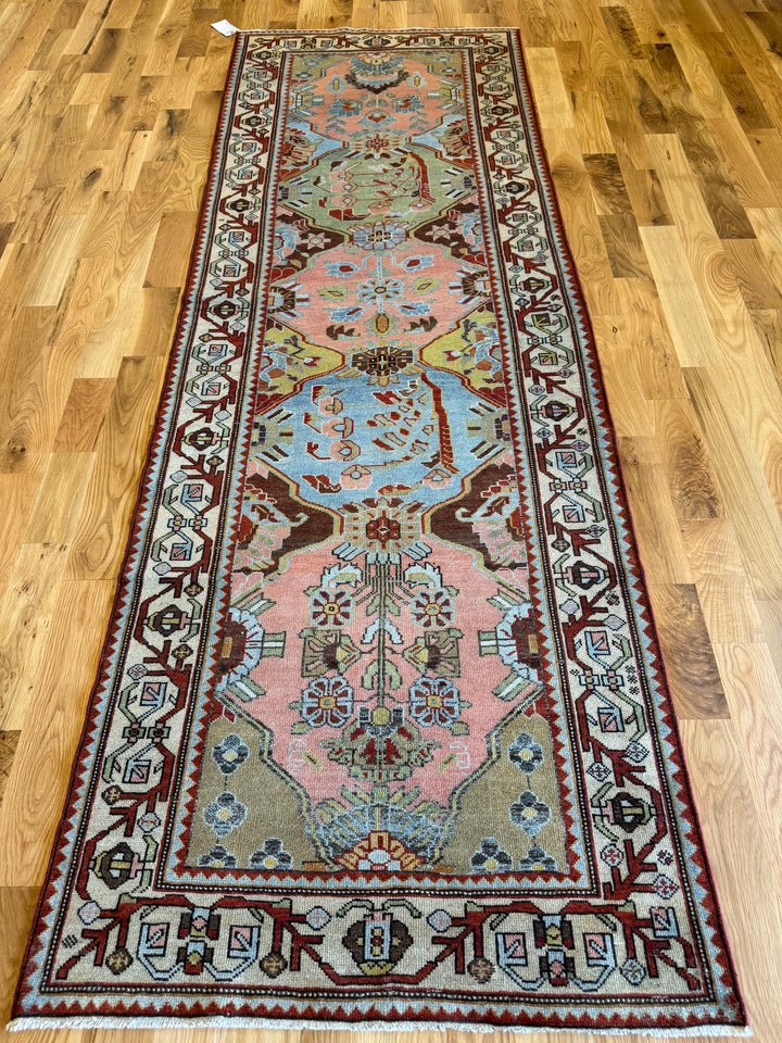 Bakhtiari (Persian) Runner 3.4x9.11