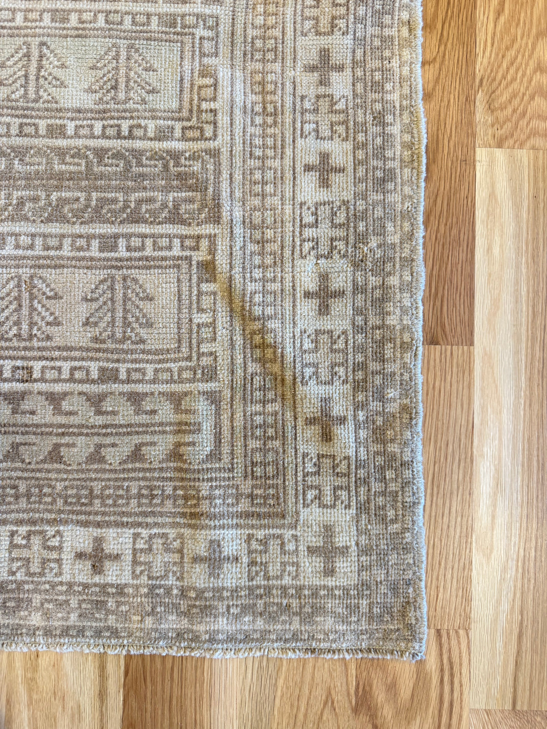 Anatolian 3.9x6.7