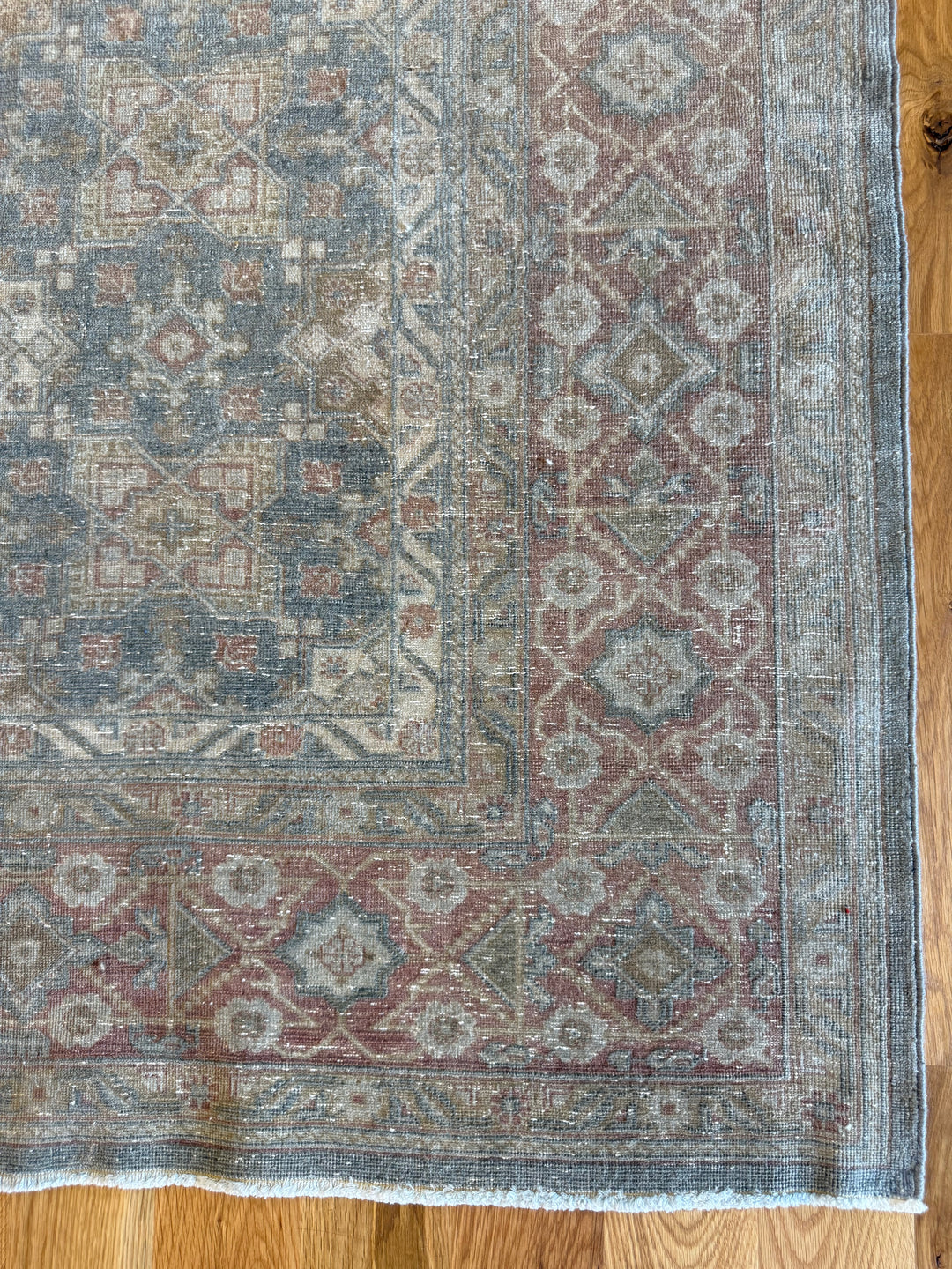 Sivas 8.3x10.7