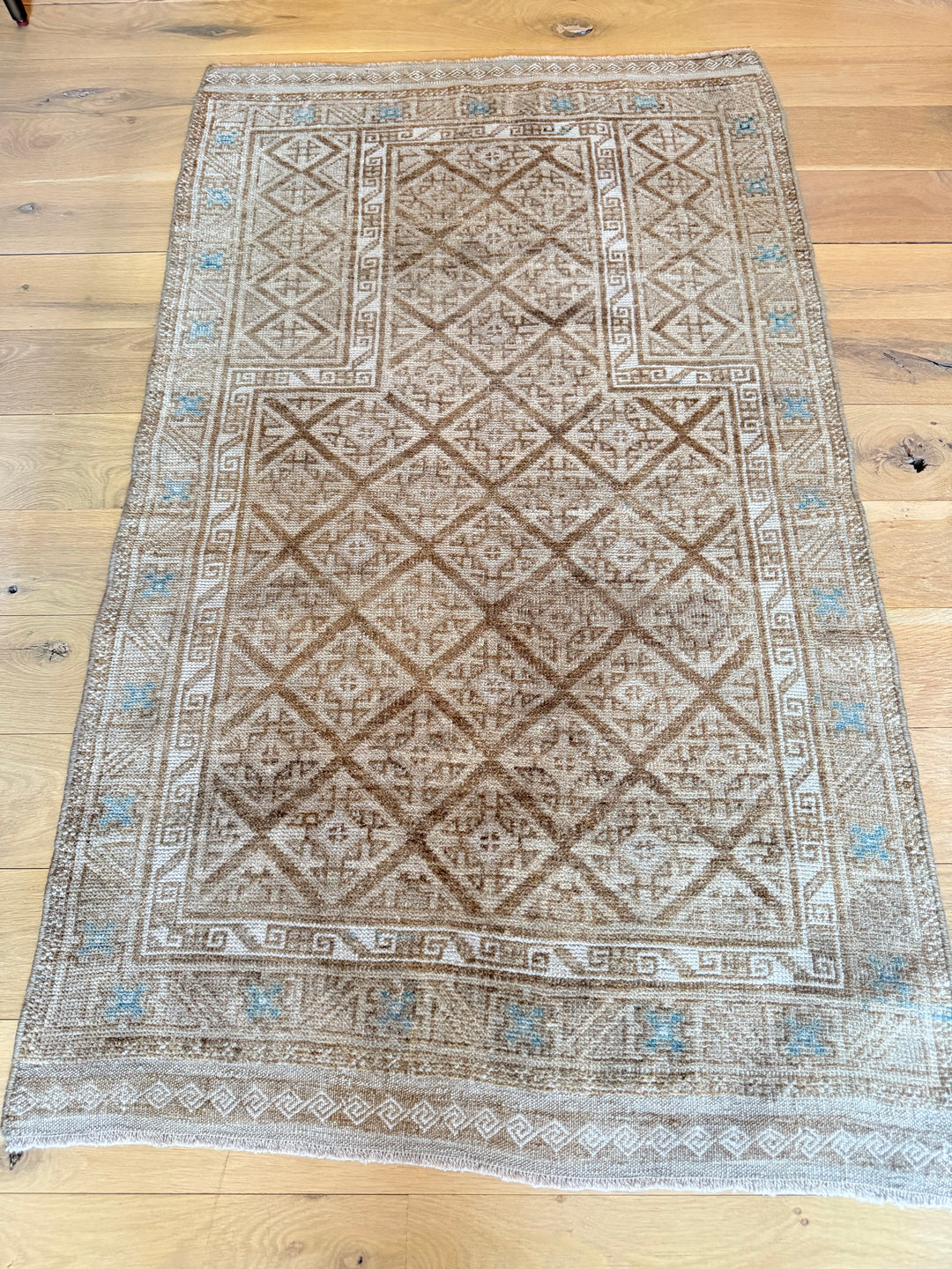 Beluch 2.8x4.5