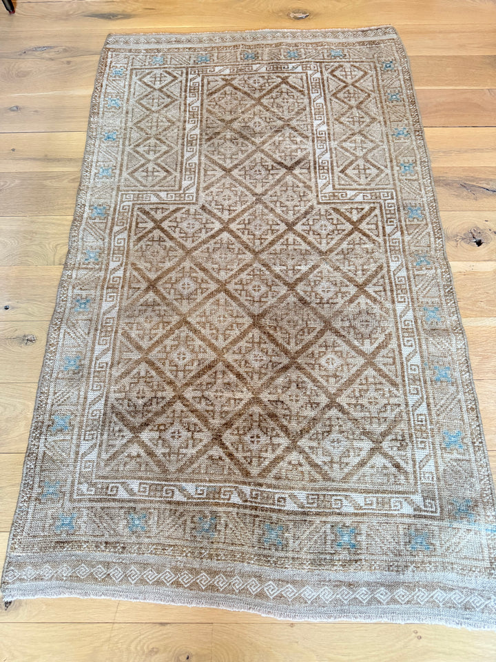 Beluch 2.8x4.5