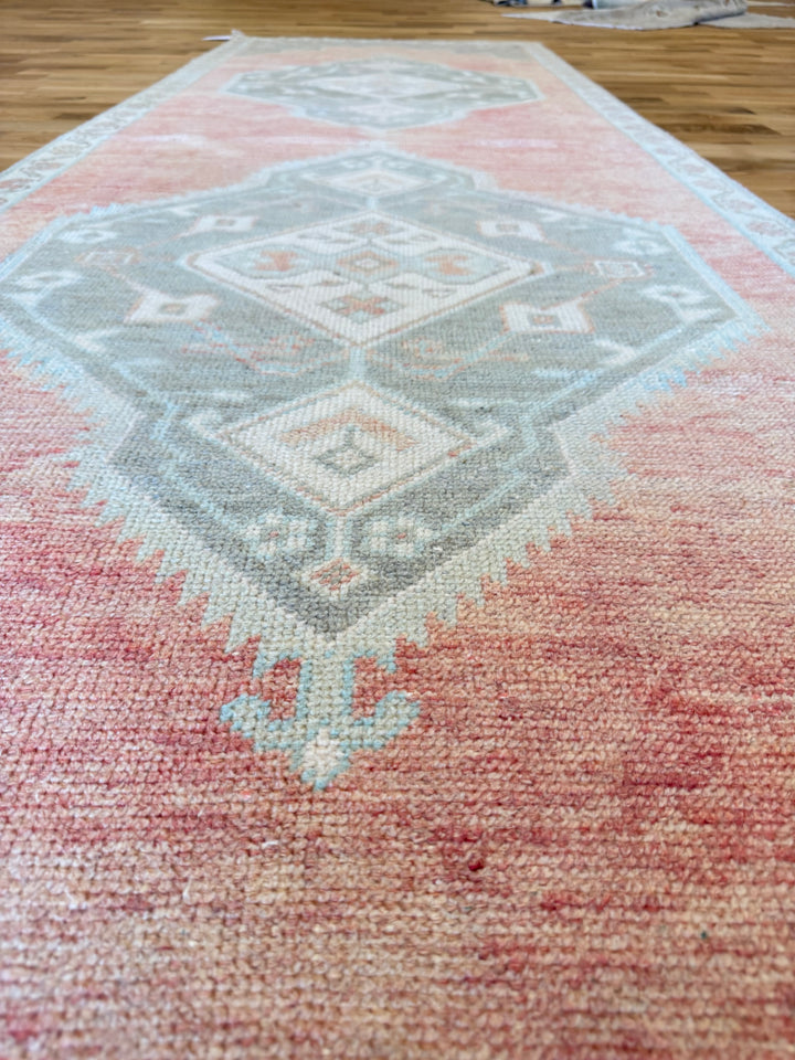 Anatolian Runner 3.4x10.11 - LillieKat Rugs