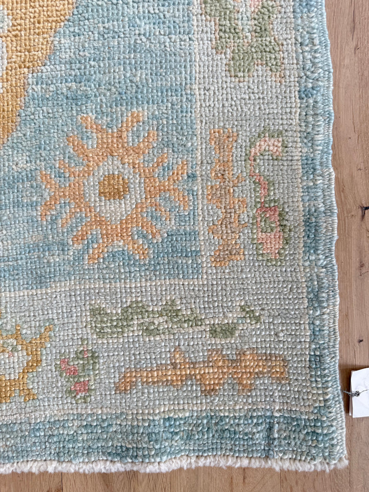 Oushak Runner 3.1x10.7