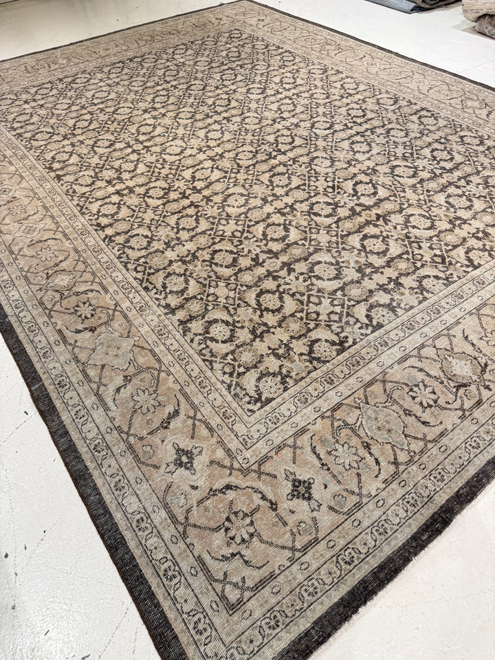 Malayer 10.3x13.5