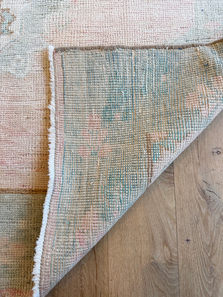 Anatolian Gallery Runner 4.8x10.1 - LillieKat Rugs