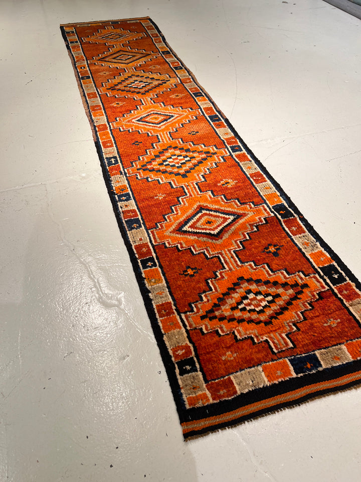 Anatolian Runner 2.8x11.10