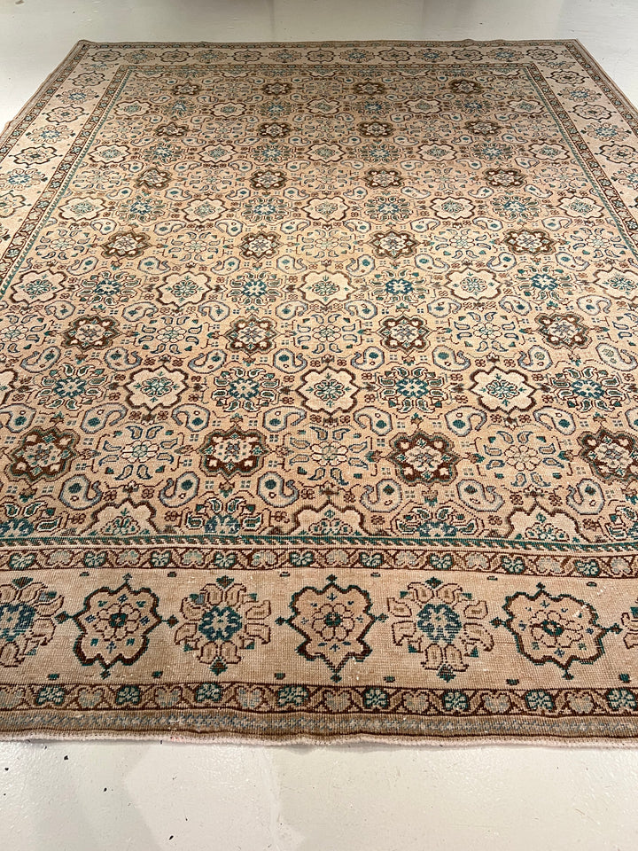 Persian 9.8x12.5