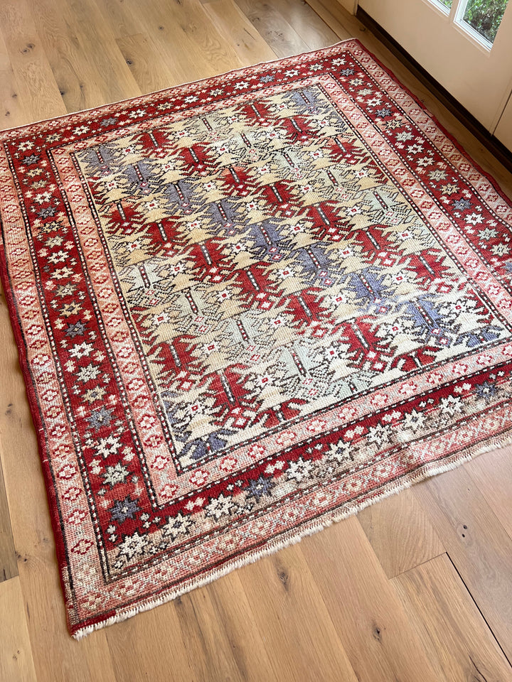 Medium Rugs – LillieKat Rugs
