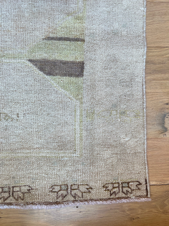 Anatolian Runner 3.5x15.10