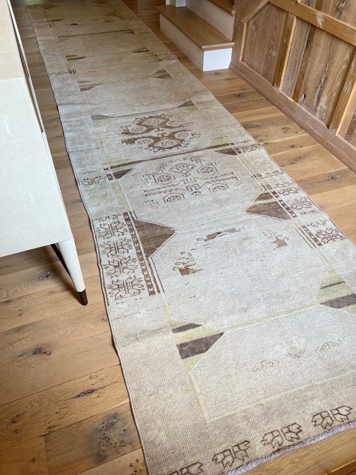 Anatolian Runner 3.5x15.10